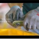 우리두레협동조합