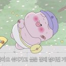 돼지토끼 이미지