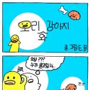 덕산중 이미지