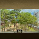 이상누각 | 원주 중앙시장 뷰좋은 카페 추천 | 이상누각크림커피