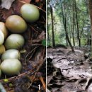 터미널슈퍼민박 이미지