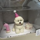 너를닮은케이크 이미지