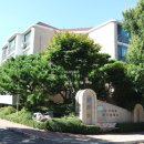 양지마을4로 이미지