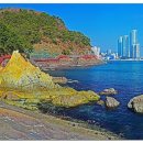 청춘 - 서귀포시 이중섭로 31 | 청춘