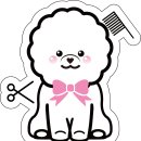 뷰티 몽 이미지