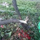 세찬농장 이미지