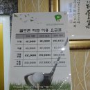 오펠 스크린골프 이미지