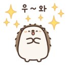 와우펫앤쥬 양산점 이미지