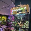 어반네이처 | 센텀 해운대 도마뱀 분양 가능한 어반네이처 카페 솔직후기