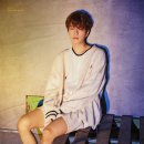 우진우드