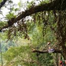 블루라군 이미지