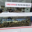 포승남원추어탕