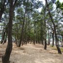 남해-261 이미지