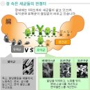 최근 장염 급증! 장염에 좋은 음식? 이미지