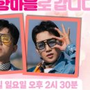편백로-2 네이버블로그