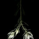 마음의 문 이미지