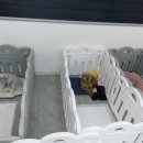 베베호텔 유치원 & 애견스파 | 안양/군포/의왕 애견유치원 : 베베호텔 유치원 &amp; 애견스파