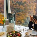 사계절풍경 | 레스토랑] 🍁 의정부 고산동 뷰 맛집! 사계절 아름다운 풍경과 ☕ 커피 할인 꿀팁! (내돈내산 솔직 후기)