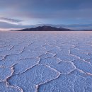 빛과 소금 이미지