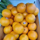 CU신안자은점 이미지