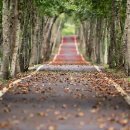 건강공원 화장실 이미지