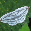 김현중농장 이미지