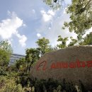 알리바바 이미지