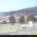 목포청호초등학교 이미지