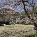 법수리마을 이미지