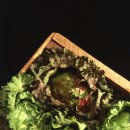 동아오토 이미지