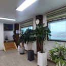 태양전기ENG 이미지