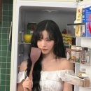 나인컨셉