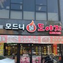 모드니불도야지