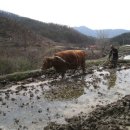 소판돈 - 부산진구 부전로20번길 42 | 소판돈