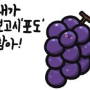 현대아울렛마인
