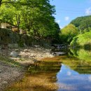 캠프예그리나 이미지