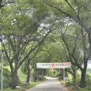 229 | [경남 산청] 경호강 근처 강 뷰 카페 추천 “방목리카페” 후기