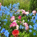 중계근린공원 이미지