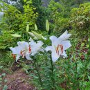 성의 농장 이미지