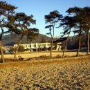 단밀초등학교 이미지