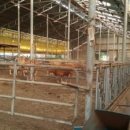 토고미농장 이미지