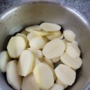 셀프헤어컷(주말) | 6월 일상_3 | 셀프 헤어컷 도전, 열매 열린 작물들 관찰하기, 새로운 캡슐커피, 외식하기, 집밥 만들어...