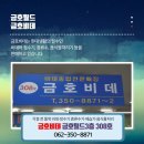 비데월드 이미지