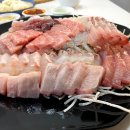 쿠마참치