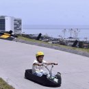 나잡아봐라인형뽑기 | 6월의 부산여행 루지, 스카이캡슐, 실패 없는 맛집 리스트