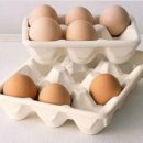계란에 대한 이야기 이미지