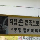 대궐봉평메밀막국수
