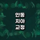 안동시 치아교정 잘하는 전문치과 병원 추천 | 비용 후기 설측교정 돌출입 앞니 투명 무턱 부분 교정기...
