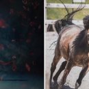 선산대로-12 이미지