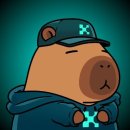 야피 | 한달 천만원수익? 노리스크로 수익벌기, 카이토 야핑하는방법 A to Z 정리